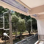 Vasiliki Apartment