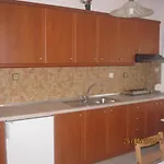 Apartment Vasiliki Metamorfosi (Sithonia)
