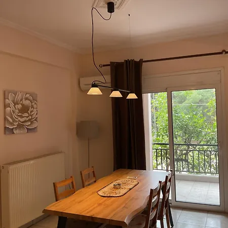 Vasiliki 公寓 美塔摩尔弗斯