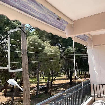 Vasiliki Apartment