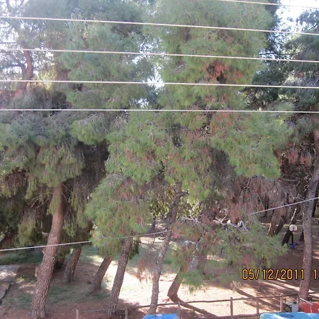 Vasiliki Apartment